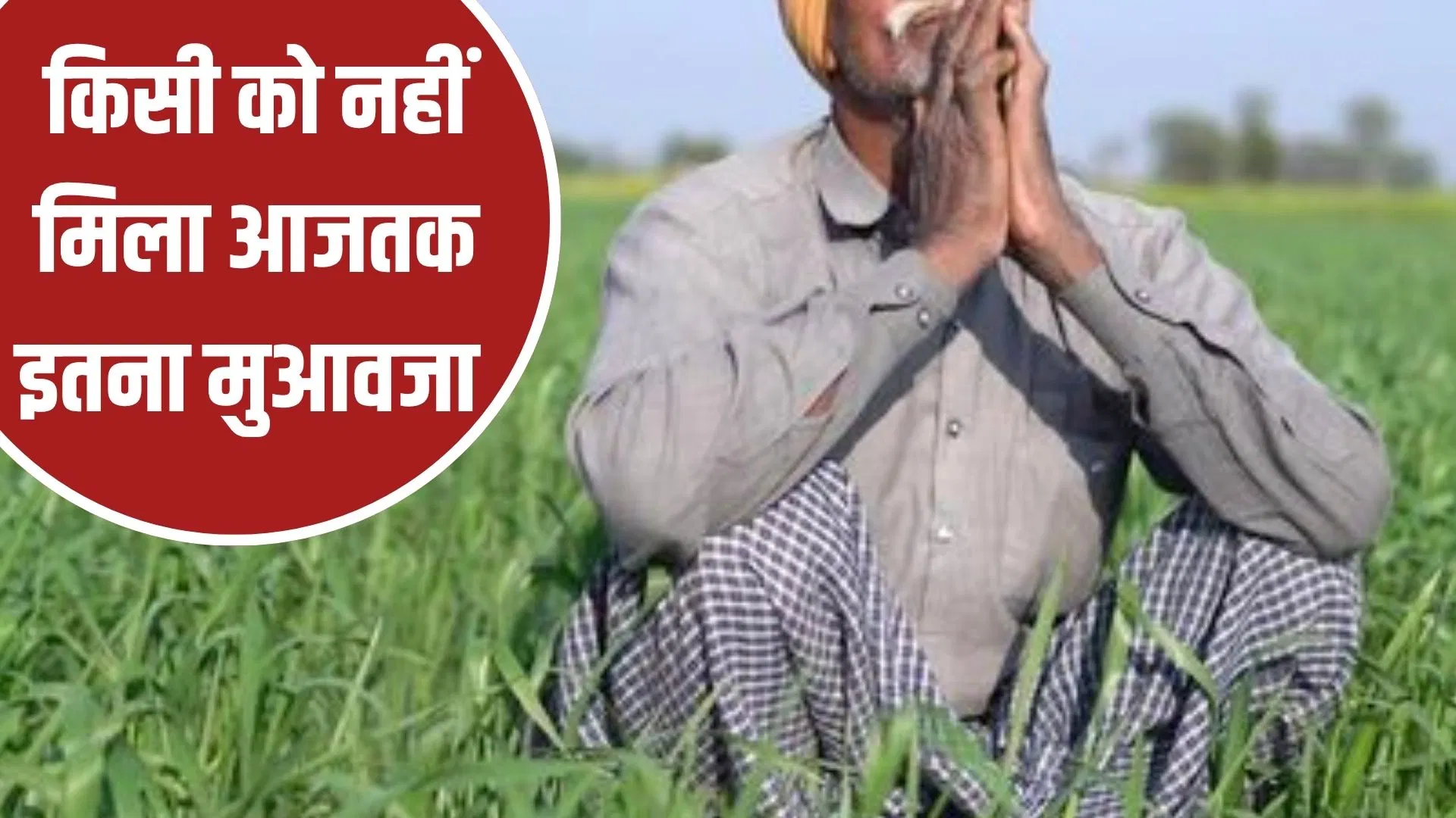 11 एकड़ जमीन, बारिश से फसल बर्बाद हुई तो मांगा मुआवजा… पैसा देख पालघर के किसान के उड़े होश 11 एकड़ जमीन, बारिश से फसल बर्बाद हुई तो मांगा मुआवजा... पैसा देख पालघर के किसान के उड़े होश