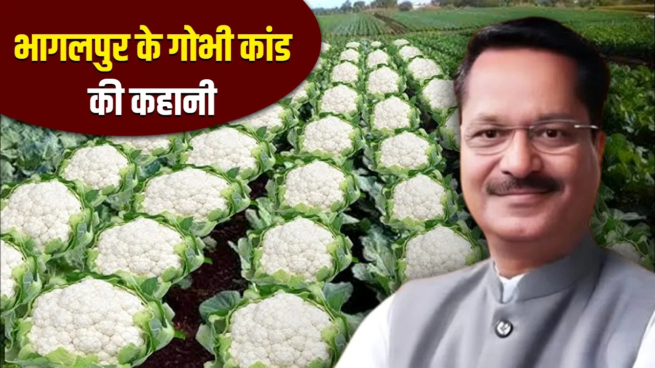116 मुस्लिमों की हत्या… क्या था भागलपुर का गोभी कांड? जिस पर बिहार चुनाव नतीजों के बाद मचा बवाल 116 मुस्लिमों की हत्या... क्या था भागलपुर का गोभी कांड? जिस पर बिहार चुनाव नतीजों के बाद मचा बवाल