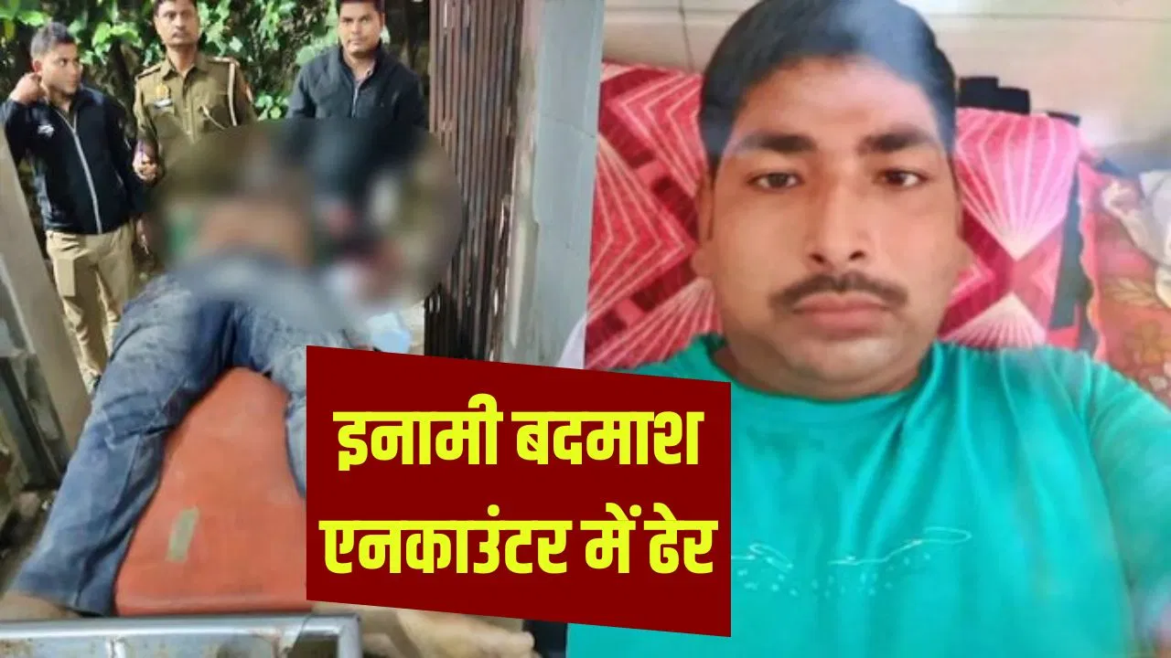 50000 का इनामी, 44 केस और गो तस्करी… कौन था आजमगढ़ का बदमाश वाकिफ, STF ने एनकाउंटर में किया ढेर 50000 का इनामी, 44 केस और गो तस्करी... कौन था आजमगढ़ का बदमाश वाकिफ, STF ने एनकाउंटर में किया ढेर