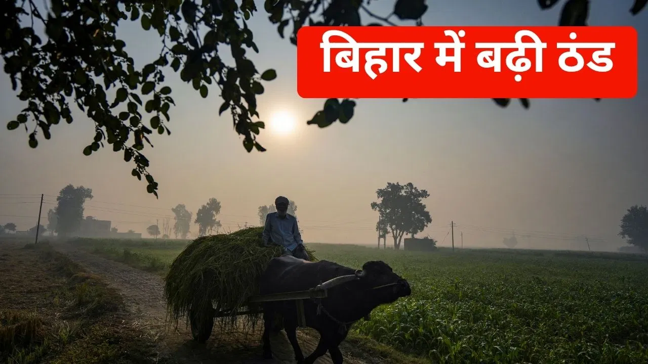 Bihar Weather: बिहार में राजनीतिक सरगर्मी के साथ लुढ़का पारा, ठंड में हुई बढ़ोत्तरी Bihar Weather: बिहार में राजनीतिक सरगर्मी के साथ लुढ़का पारा, ठंड में हुई बढ़ोत्तरी
