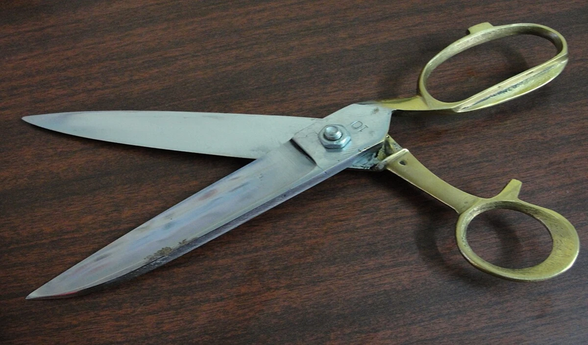 Home Hacks: किचन की कैंची फिर से काटें लोहे की तरह, ये 1 मिनट के घरेलू नुस्खे कर देंगे कमाल Home Hacks: किचन की कैंची फिर से काटें लोहे की तरह, ये 1 मिनट के घरेलू नुस्खे कर देंगे कमाल