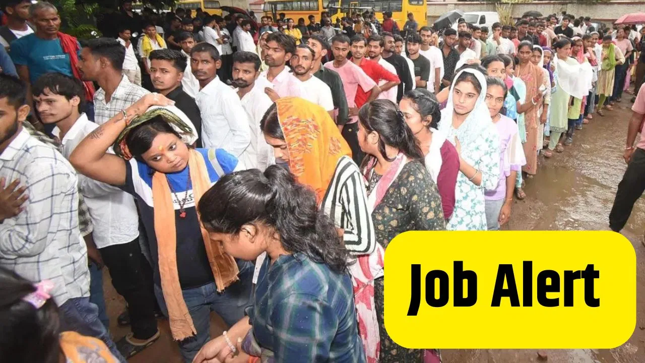 Job Alert: छत्तीसगढ़ PSC का नोटिफिकेशन जारी, KVS-NVS भर्ती के लिए नहीं कर पा रहे हैं आवेदन? सीबीएसई ने बताई वजह Job Alert: छत्तीसगढ़ PSC का नोटिफिकेशन जारी, KVS-NVS भर्ती के लिए नहीं कर पा रहे हैं आवेदन? सीबीएसई ने बताई वजह