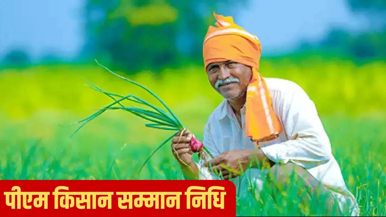 PM Kisan Samman Nidhi: आपके खाते में नहीं आया पीएम किसान का पैसा? ये हो सकती है वजह PM Kisan Samman Nidhi: आपके खाते में नहीं आया पीएम किसान का पैसा? ये हो सकती है वजह