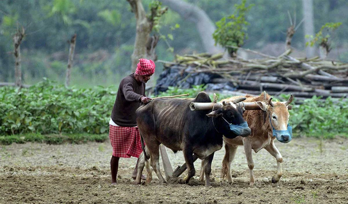 PM Kisan Yojana: सरकार किन किसानों का कर सकती है आवेदन रद्द? जान लें कहीं आप तो नहीं इस लिस्ट में PM Kisan Yojana: सरकार किन किसानों का कर सकती है आवेदन रद्द? जान लें कहीं आप तो नहीं इस लिस्ट में