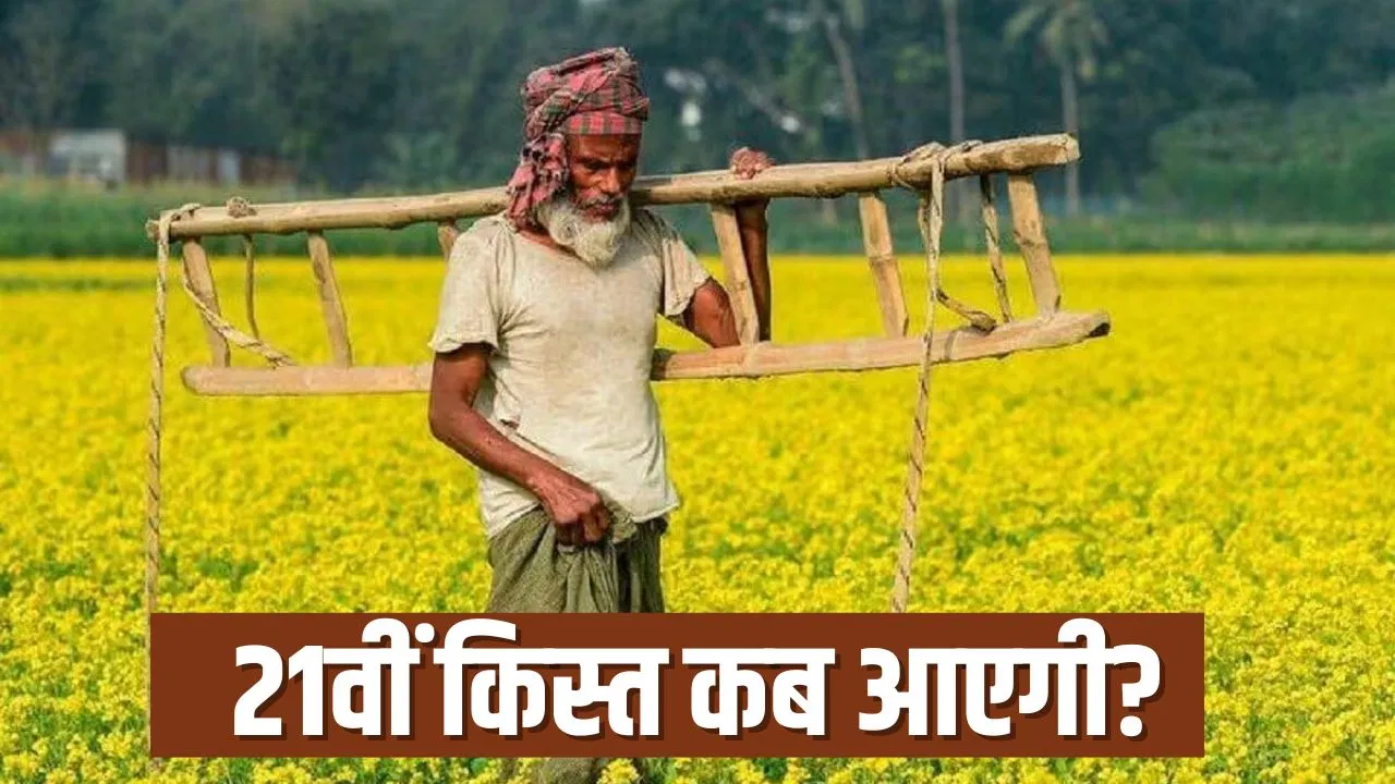 PM किसान योजना पर आया बड़ा अपडेट, इस वजह से खाते में नहीं आए 21वीं किस्त के पैसे! PM किसान योजना पर आया बड़ा अपडेट, इस वजह से खाते में नहीं आए 21वीं किस्त के पैसे!