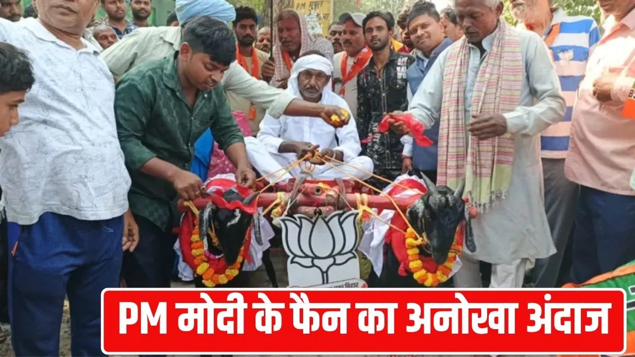 PM की रैली में बकरे की सवारी, भागलपुर में समर्थक बोला- मोदी जी मेरे बकरे को देखें तो गर्व होगा PM की रैली में बकरे की सवारी, भागलपुर में समर्थक बोला- मोदी जी मेरे बकरे को देखें तो गर्व होगा