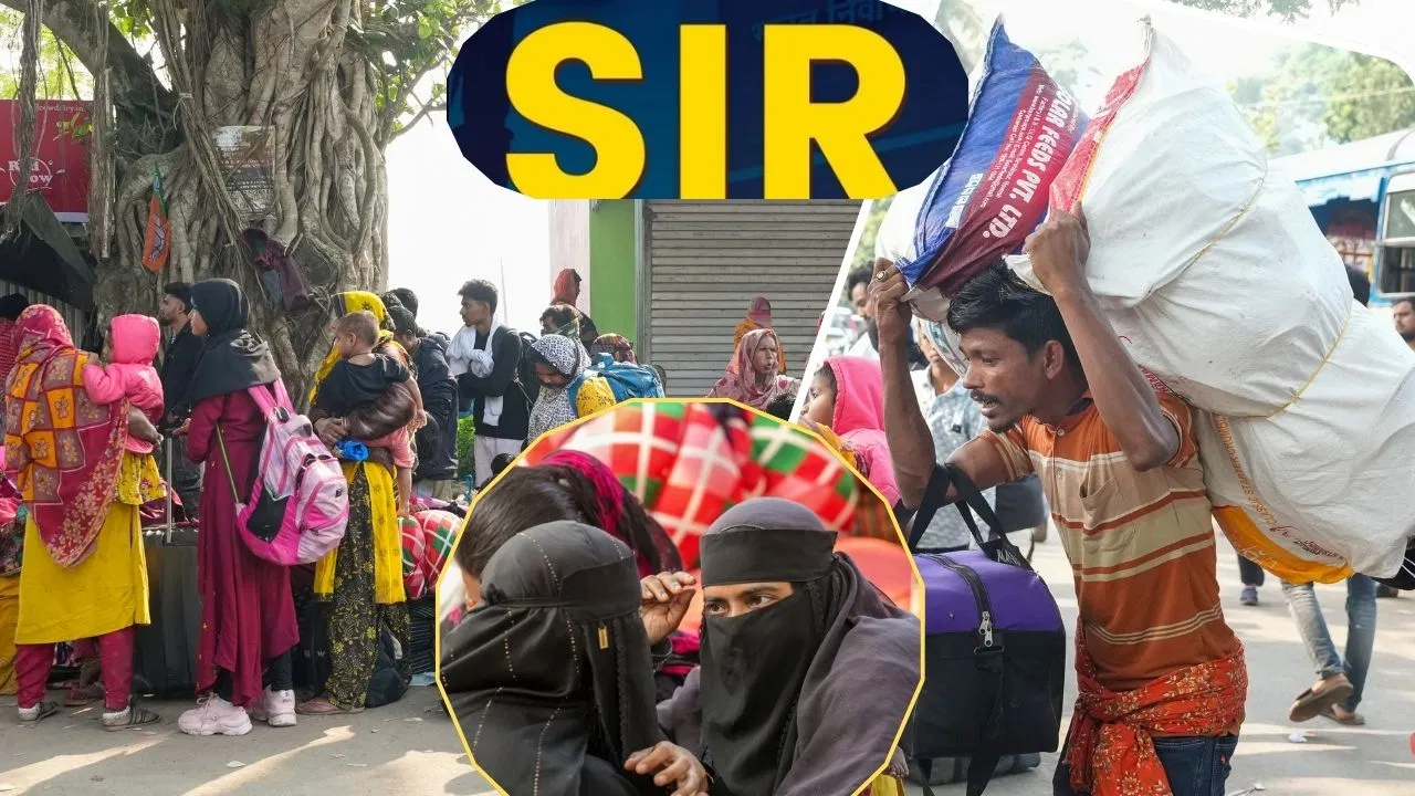 SIR का खौफ या ममता की रणनीति! बांग्लादेश की सीमा पर उमड़े घुसपैठियों का क्या सच? SIR का खौफ या ममता की रणनीति! बांग्लादेश की सीमा पर उमड़े घुसपैठियों का क्या सच?