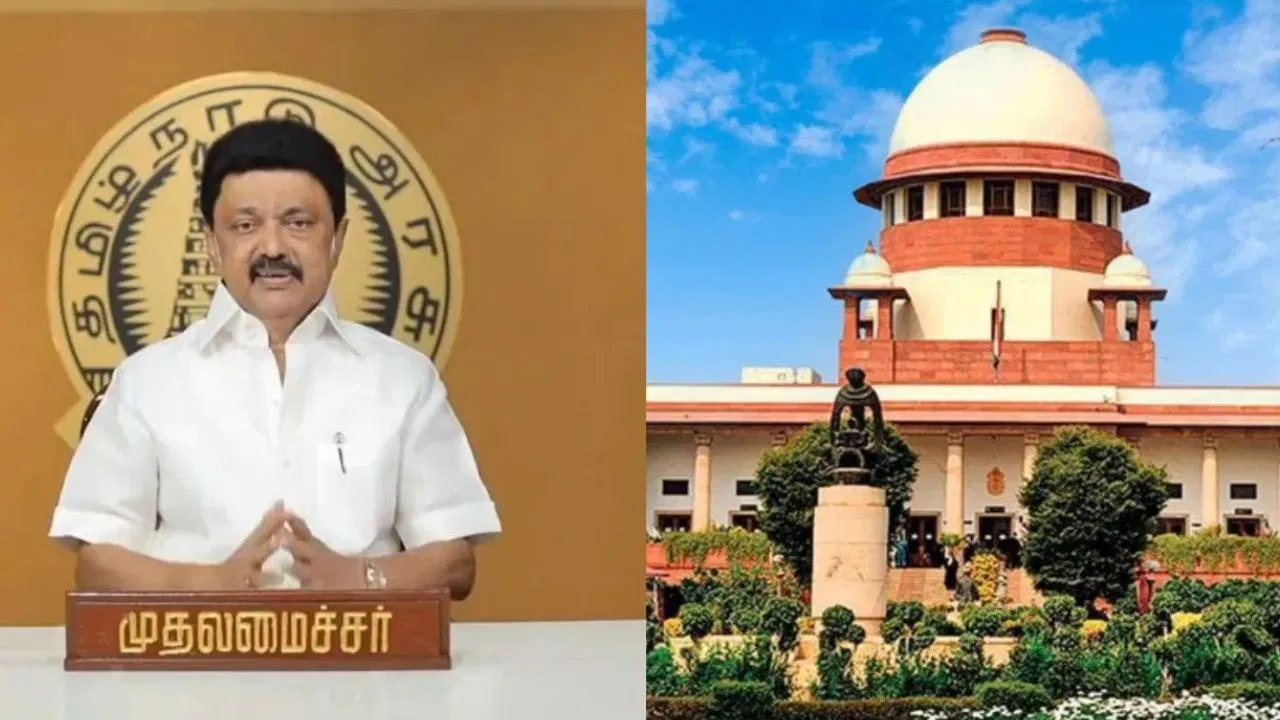 SIR के खिलाफ सुप्रीम कोर्ट जा रहे स्टालिन, तमिलनाडू की 48 पार्टियों का मिला साथ SIR के खिलाफ सुप्रीम कोर्ट जा रहे स्टालिन, तमिलनाडू की 48 पार्टियों का मिला साथ