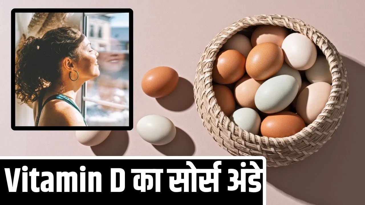 Winter Diet: विटामिन डी के लिए रोज कितने अंडे खाएं? जान लें सर्दियों में ये क्यों जरूरी Winter Diet: विटामिन डी के लिए रोज कितने अंडे खाएं? जान लें सर्दियों में ये क्यों जरूरी