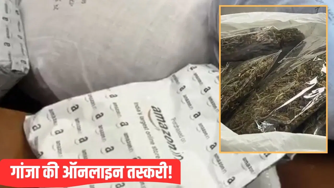 अमेजन जैसी पैकिंग, ऑनलाइन पेमेंट और घर पर डिलिवरी… नोएडा में ऐसे हो रही थी गांजे की सप्लाई अमेजन जैसी पैकिंग, ऑनलाइन पेमेंट और घर पर डिलिवरी... नोएडा में ऐसे हो रही थी गांजे की सप्लाई