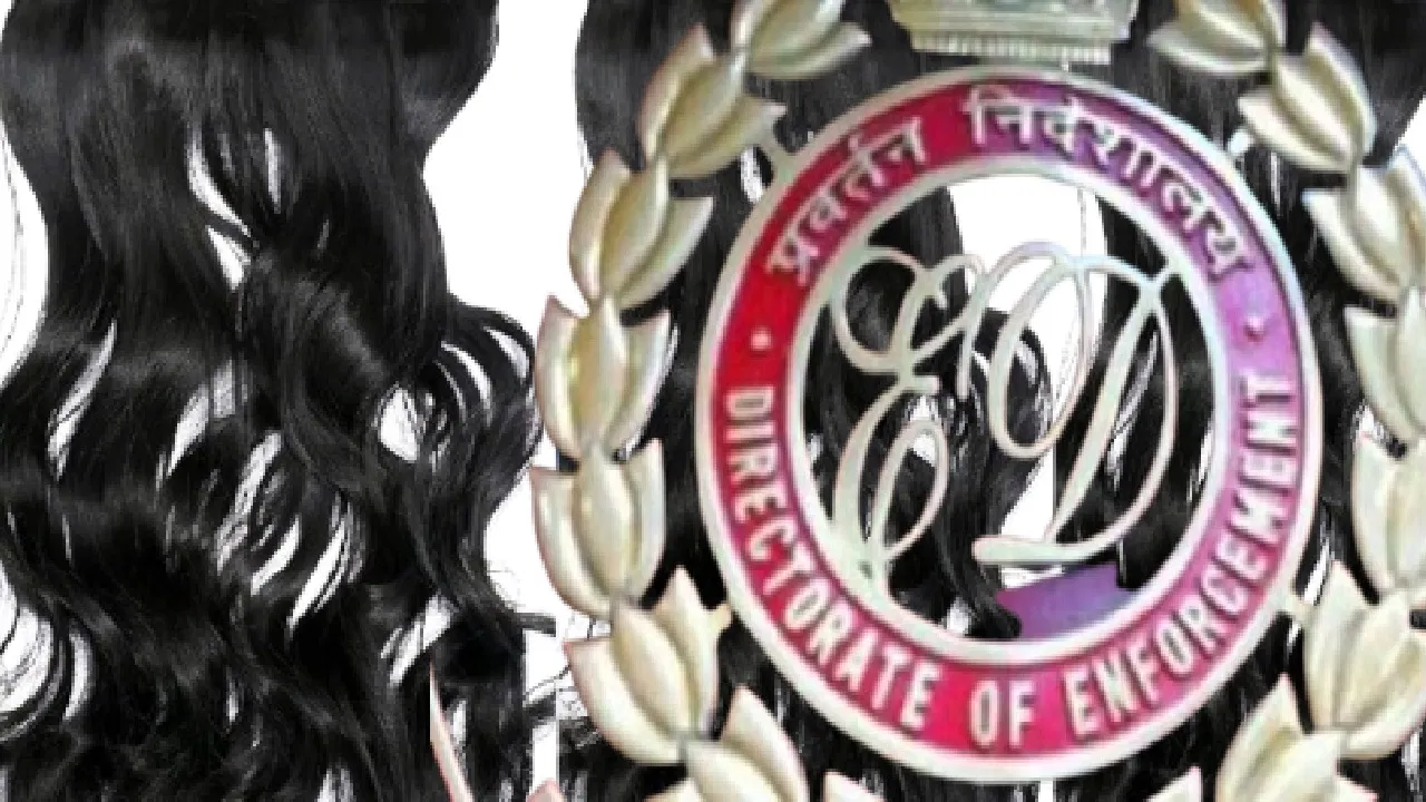 इंसान के बालों का बिजनेस और करोड़ों का खेल, ED की रेड में खुली इस कंपनी की पोल इंसान के बालों का बिजनेस और करोड़ों का खेल, ED की रेड में खुली इस कंपनी की पोल