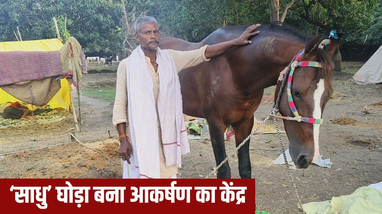 इस ‘साधु’ की कीमत 11 लाख, वैशाली के सोनपुर मेले में आया; इसकी रफ्तार जान फैन हो जाएंगे आप इस 'साधु' की कीमत 11 लाख, वैशाली के सोनपुर मेले में आया; इसकी रफ्तार जान फैन हो जाएंगे आप