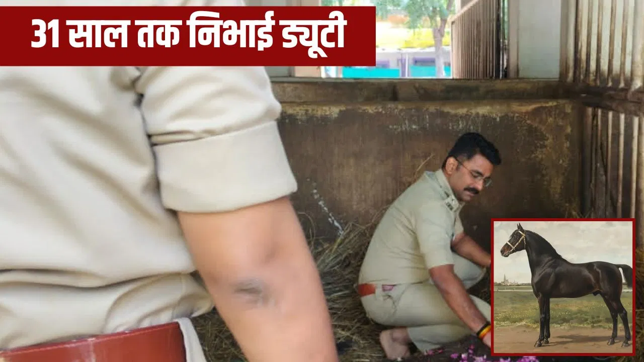 उज्जैन पुलिस ने नॉटी बॉय को दी अंतिम विदाई, 31 साल तक दिया ‘वर्दी’ का साथ; अब बनेगा मेमोरियल उज्जैन पुलिस ने नॉटी बॉय को दी अंतिम विदाई, 31 साल तक दिया 'वर्दी' का साथ; अब बनेगा मेमोरियल