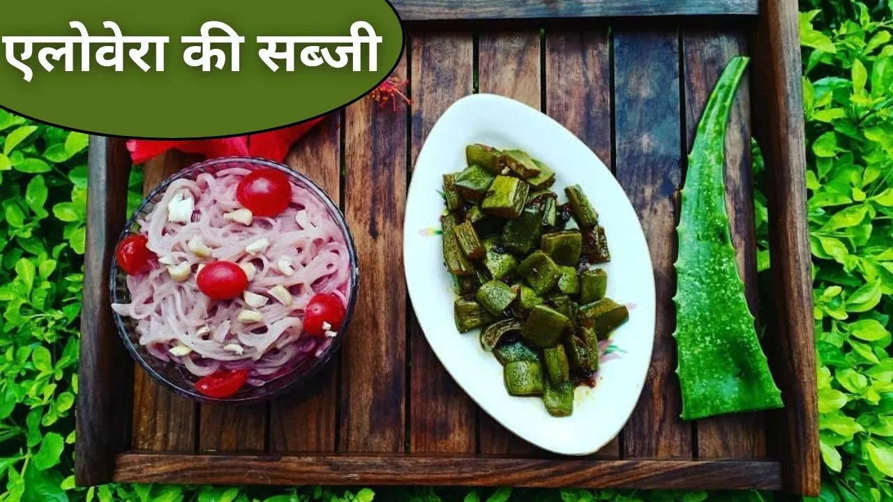 एलोवेरा की सब्जी खाई है कभी…ये रेसिपी करें ट्राई, हर कोई पूछेगा कैसे बनाई एलोवेरा की सब्जी खाई है कभी...ये रेसिपी करें ट्राई, हर कोई पूछेगा कैसे बनाई