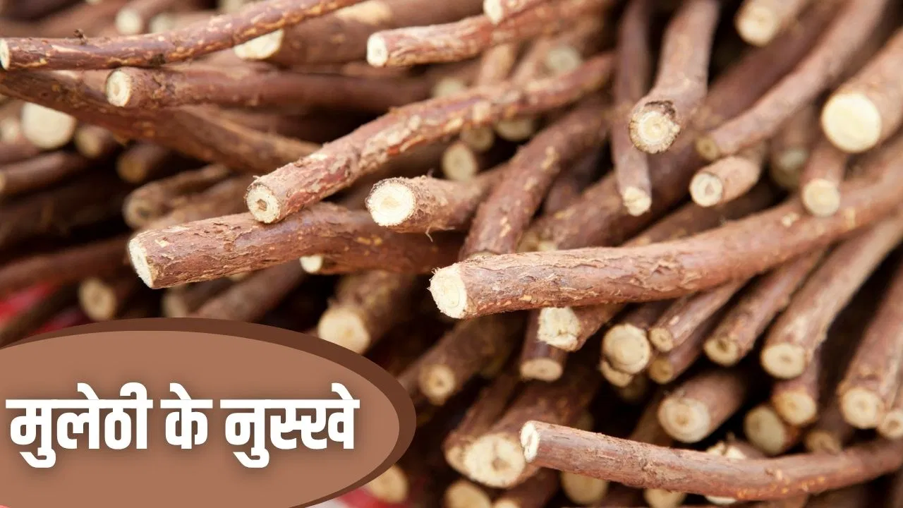 खराश से राहत ही नहीं…इन कामों में भी आती है मुलेठी, जान लें इसके नुस्खे खराश से राहत ही नहीं...इन कामों में भी आती है मुलेठी, जान लें इसके नुस्खे