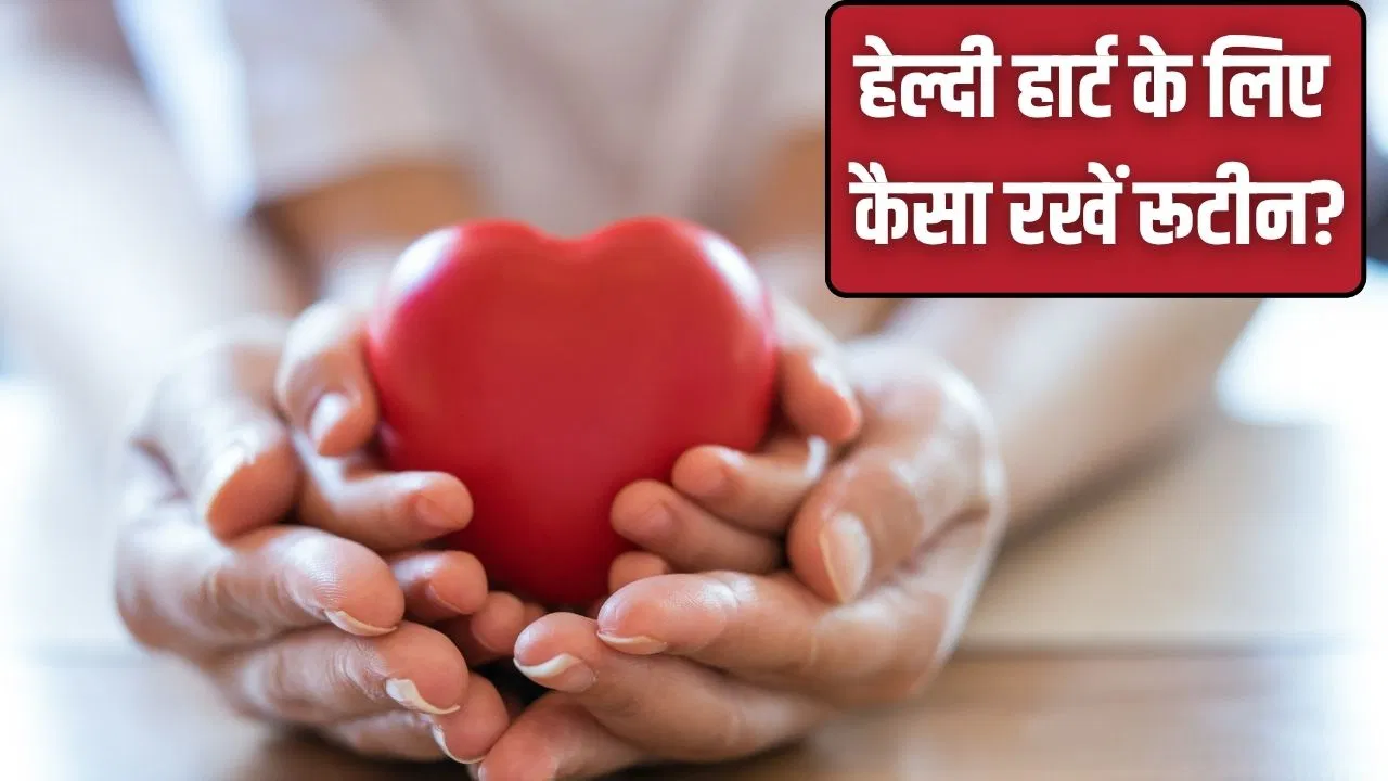 खाने से एक्सरसाइज तक…एक्सपर्ट से जानें हेल्दी दिल के लिए कैसे रखा रूटीन खाने से एक्सरसाइज तक...एक्सपर्ट से जानें हेल्दी दिल के लिए कैसे रखा रूटीन