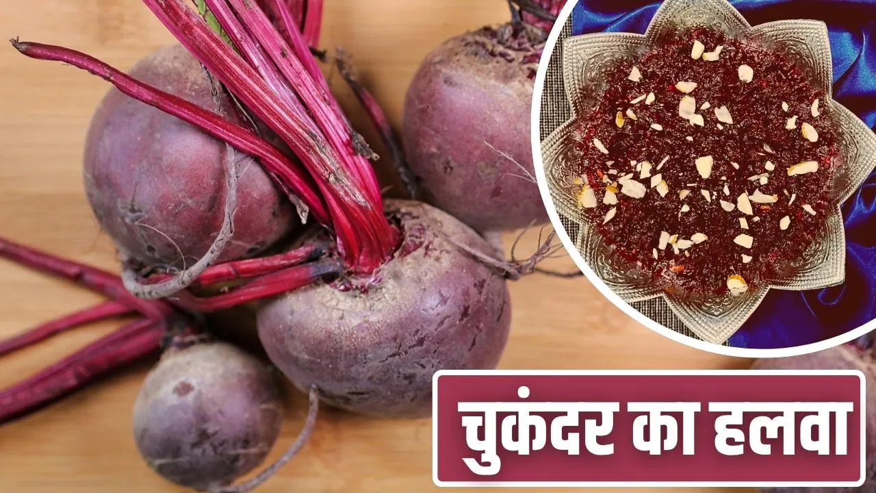गाजर का हलवा जाएंगे भूल…सर्दियों के लिए देखें चुकंदर के हलवे की रेसिपी, शरीर रहेगा गर्म गाजर का हलवा जाएंगे भूल...सर्दियों के लिए देखें चुकंदर के हलवे की रेसिपी, शरीर रहेगा गर्म