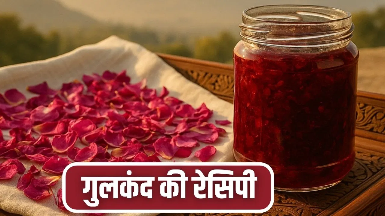 घर पर इस तरह बनाएं गुलकंद, एसिडिटी से दिलाए राहत, माउथ फ्रेशनर भी है घर पर इस तरह बनाएं गुलकंद, एसिडिटी से दिलाए राहत, माउथ फ्रेशनर भी है
