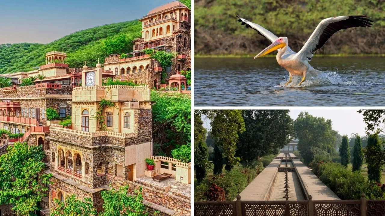 दिल्ली में घुट रहा दम! यहां से 200 KM के अंदर राजस्थान की इन जगहों की हवा है साफ, ऐसे जाएं दिल्ली में घुट रहा दम! यहां से 200 KM के अंदर राजस्थान की इन जगहों की हवा है साफ, ऐसे जाएं