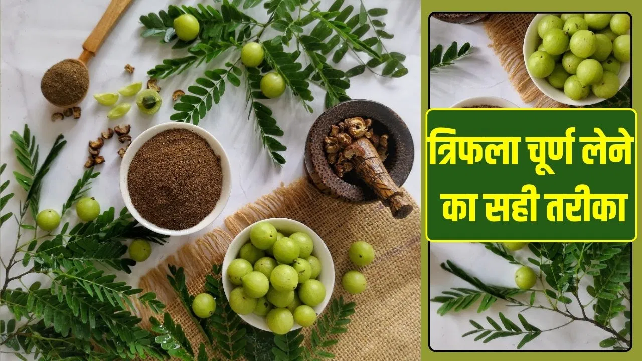 दूध में त्रिफला चूर्ण मिलाकर पीने से क्या होगा, सर्दियों में इसे कैसे लें? एक्सपर्ट से जानें दूध में त्रिफला चूर्ण मिलाकर पीने से क्या होगा, सर्दियों में इसे कैसे लें? एक्सपर्ट से जानें
