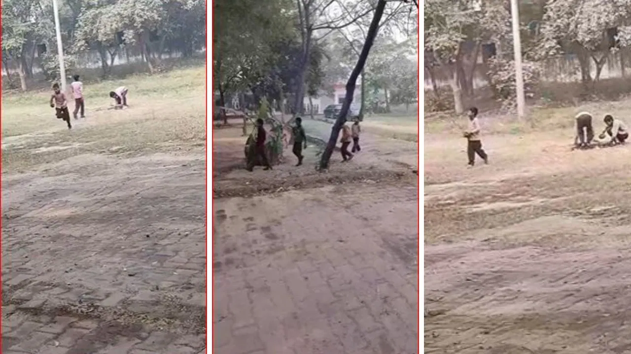नोएडा के प्राइमरी स्कूल में ईंट-पत्थर ढोते दिखे मासूम, चपरासी मजे से घूमता रहा… Video वायरल नोएडा के प्राइमरी स्कूल में ईंट-पत्थर ढोते दिखे मासूम, चपरासी मजे से घूमता रहा... Video वायरल