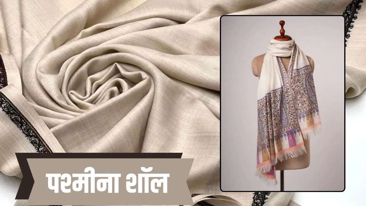पश्मीना शॉल के बारे में वो बातें जिनके बारे में बहुत कम लोग हैं जानते पश्मीना शॉल के बारे में वो बातें जिनके बारे में बहुत कम लोग हैं जानते