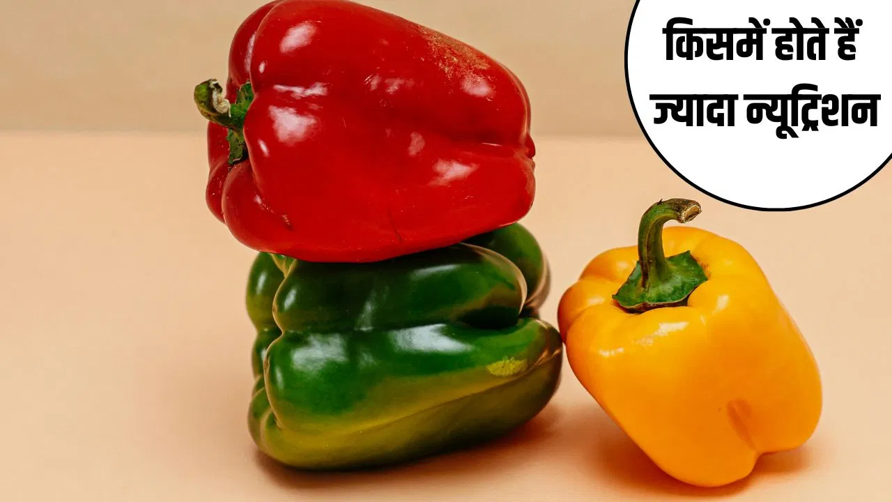 पीली, हरी और लाल…किस शिमला मिर्च में होते हैं ज्यादा न्यूट्रिएंट्स? जानें पीली, हरी और लाल...किस शिमला मिर्च में होते हैं ज्यादा न्यूट्रिएंट्स? जानें