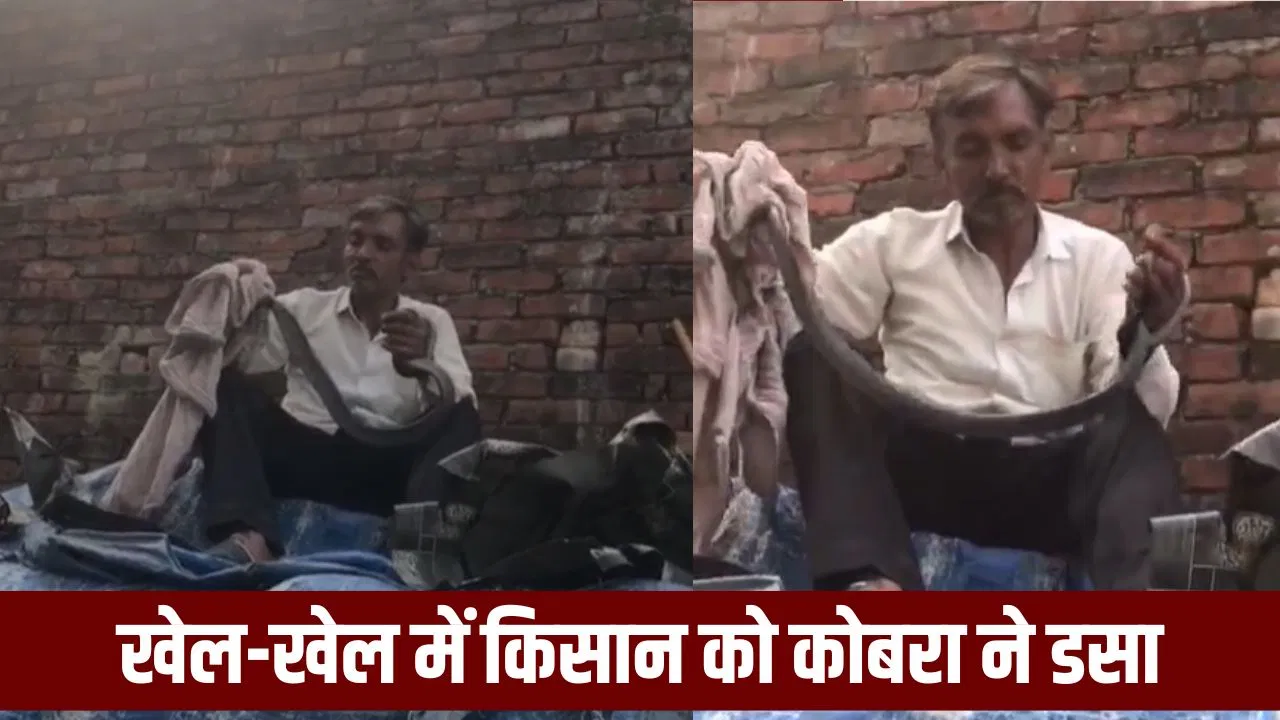 बहादुरी दिखाने के लिए खेत से घर लाया था सांप… खेल-खेल में डस लिया, सहारनपुर में किसान की हुई मौत बहादुरी दिखाने के लिए खेत से घर लाया था सांप... खेल-खेल में डस लिया, सहारनपुर में किसान की हुई मौत