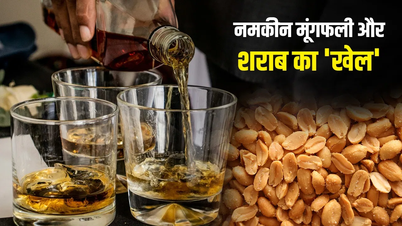 बार में शराब के साथ नमकीन मूंगफली परोसने के पीछे क्या है खेल? वाइन एक्सपर्ट से समझें बार में शराब के साथ नमकीन मूंगफली परोसने के पीछे क्या है खेल? वाइन एक्सपर्ट से समझें