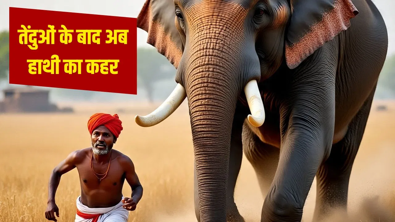 बिजनौर में किसान के पीछे भागे ‘गजराज’, खेत में खड़ी फसल हो गई बर्बाद; पत्थर मारना पड़ गया भारी बिजनौर में किसान के पीछे भागे 'गजराज', खेत में खड़ी फसल हो गई बर्बाद; पत्थर मारना पड़ गया भारी