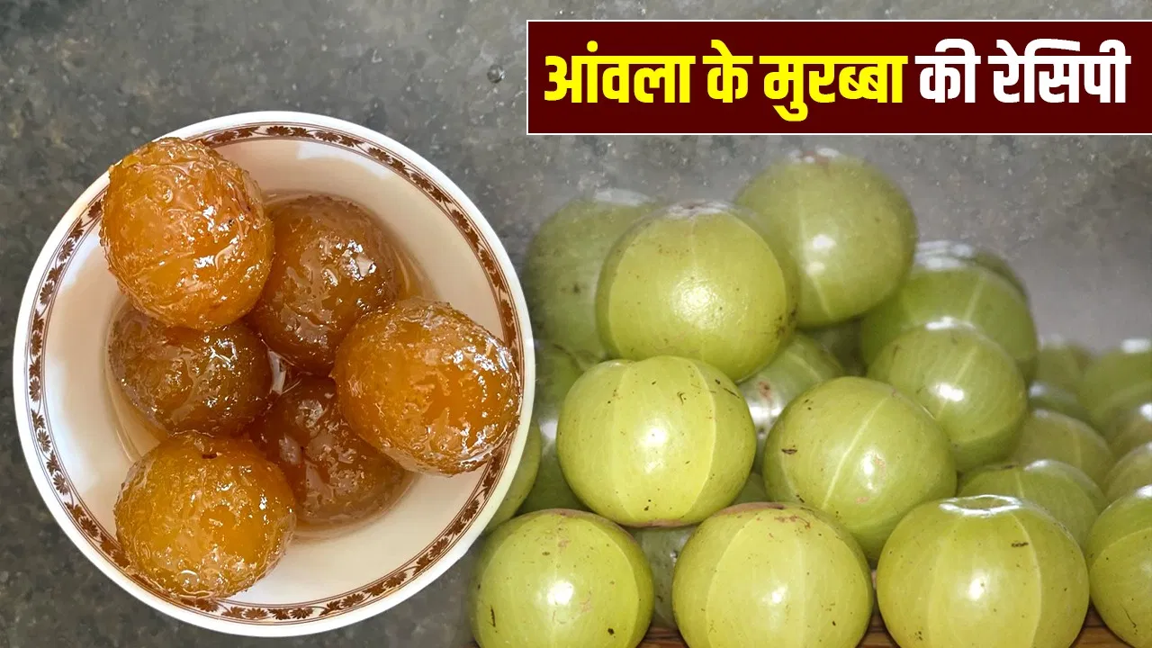 बिना चीनी के आंवला का मुरब्बा कैसे बनाएं? यहां जानें दादी-नानी की ट्रेडिशनल रेसिपी बिना चीनी के आंवला का मुरब्बा कैसे बनाएं? यहां जानें दादी-नानी की ट्रेडिशनल रेसिपी