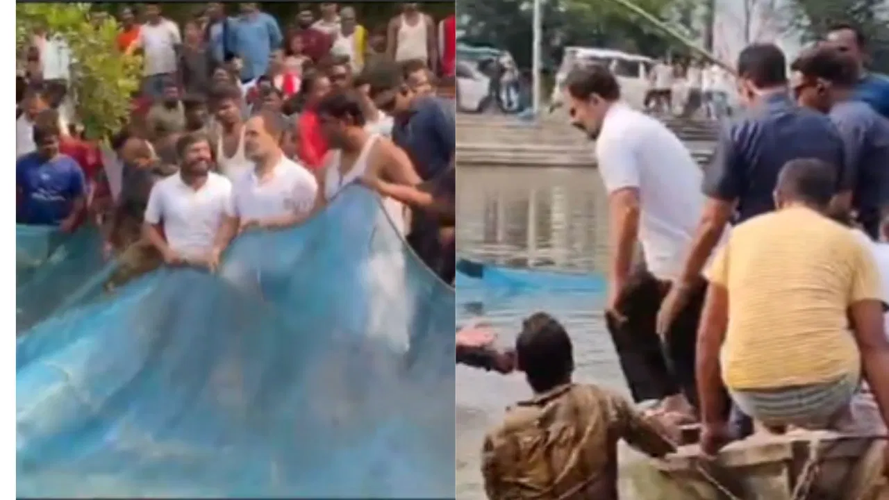 बिहार: तालाब में लगाई छलांग, लोगों के साथ पकड़ी मछली…बेगूसराय में दिखा राहुल गांधी अलग अंदाज बिहार: तालाब में लगाई छलांग, लोगों के साथ पकड़ी मछली...बेगूसराय में दिखा राहुल गांधी अलग अंदाज