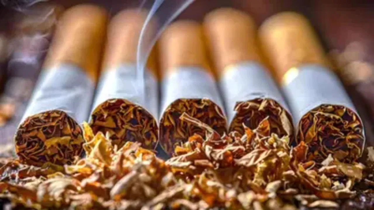 जनवरी तक करना होगा GST सेस का भुगतान, सरकार ने दिया बड़ा अपडेट महंगा होगा तंबाकू और पान मसाला, बजट में हो सकता है नए सेस और एनसीसीडी का ऐलान