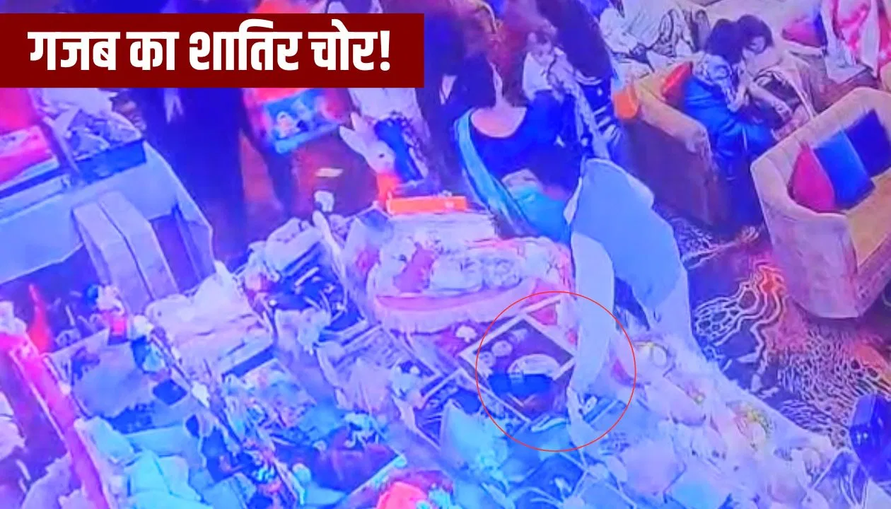 मेरठ वाले सावधान रहें! पार्टियों में घूम रहे सूट-बूट वाले चोर, हीरे का हार लेकर फरार; CCTV फुटेज हुआ कैद मेरठ वाले सावधान रहें! पार्टियों में घूम रहे सूट-बूट वाले चोर, हीरे का हार लेकर फरार; CCTV फुटेज हुआ कैद