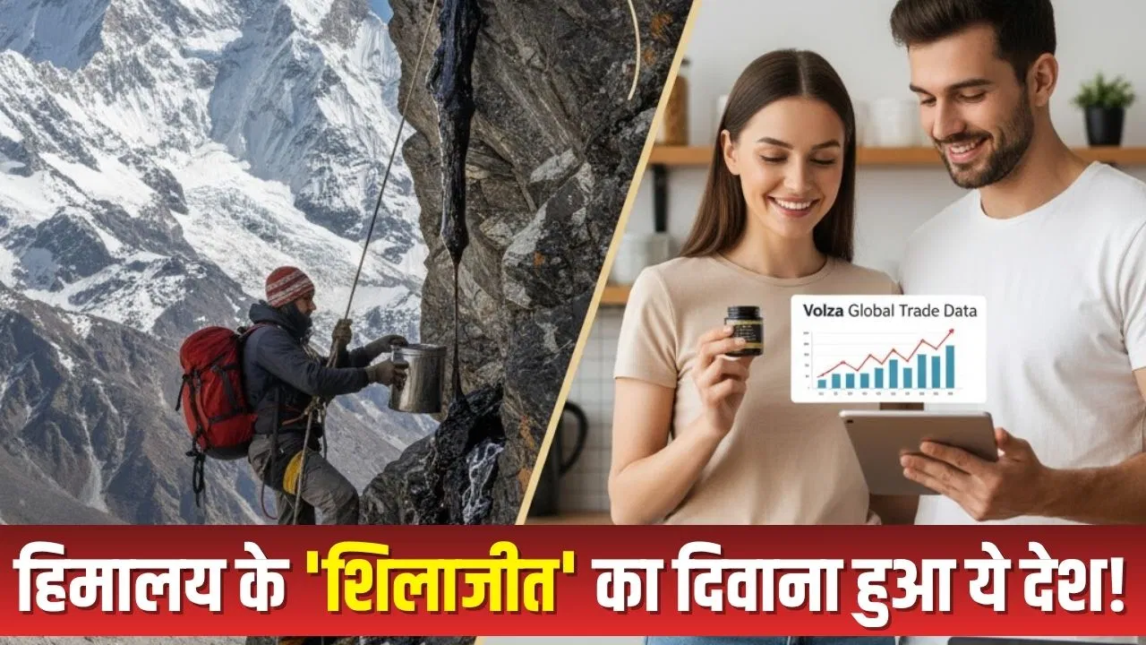 यहां के लोग दबाकर खा रहे हैं शिलाजीत, मुंह मांगे दाम पर खरीद रहे हैं ताकत की गोली! यहां के लोग दबाकर खा रहे हैं शिलाजीत, मुंह मांगे दाम पर खरीद रहे हैं ताकत की गोली!