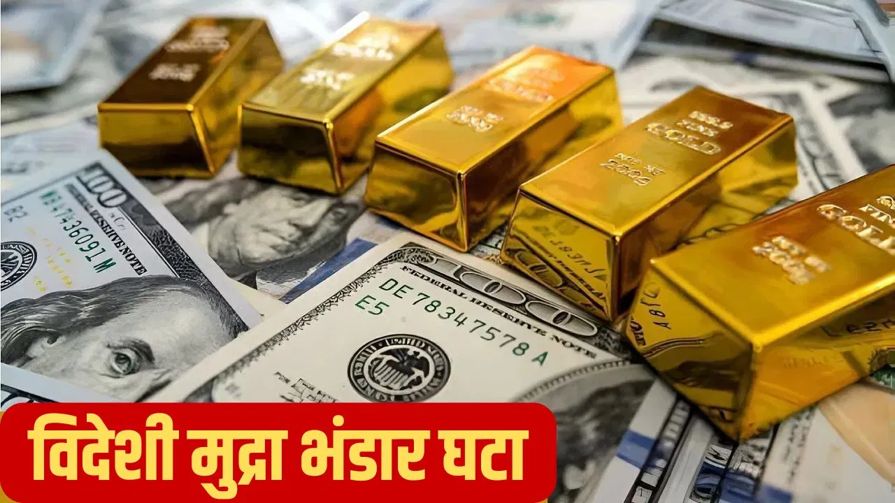 विदेशी मुद्रा भंडार में बड़ी गिरावट, हफ्ते भर में 5.6 अरब डॉलर कम हुआ भंडार विदेशी मुद्रा भंडार में बड़ी गिरावट, हफ्ते भर में 5.6 अरब डॉलर कम हुआ भंडार