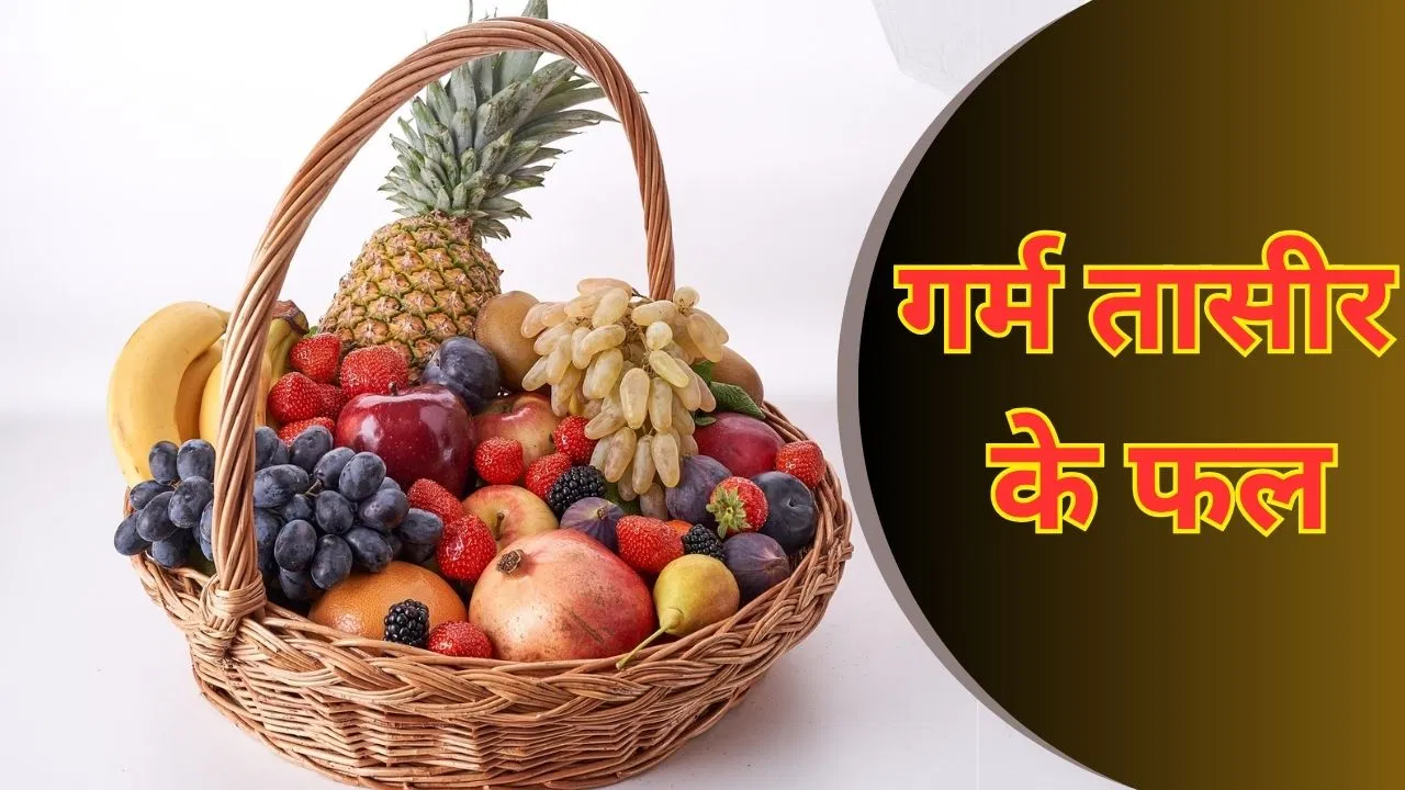 सर्दियों में खाएं ये 5 गर्म तासीर वाले फल, शरीर को मिलेंगे भरपूर पोषक तत्व सर्दियों में खाएं ये 5 गर्म तासीर वाले फल, शरीर को मिलेंगे भरपूर पोषक तत्व