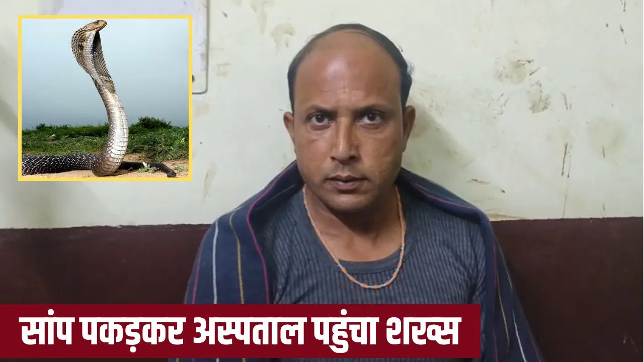 सांप ने काटा तो उसे जिंदा पकड़कर हॉस्पिटल ले गया शख्स, बिजनौर हॉस्पिटल में मचा हड़कंप सांप ने काटा तो उसे जिंदा पकड़कर हॉस्पिटल ले गया शख्स, बिजनौर हॉस्पिटल में मचा हड़कंप
