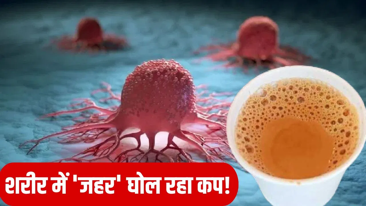 हर घूंट में जहर: प्लास्टिक के कप में चाय पीना बन सकता है जानलेवा, कैंसर का खतरा! हर घूंट में जहर: प्लास्टिक के कप में चाय पीना बन सकता है जानलेवा, कैंसर का खतरा!