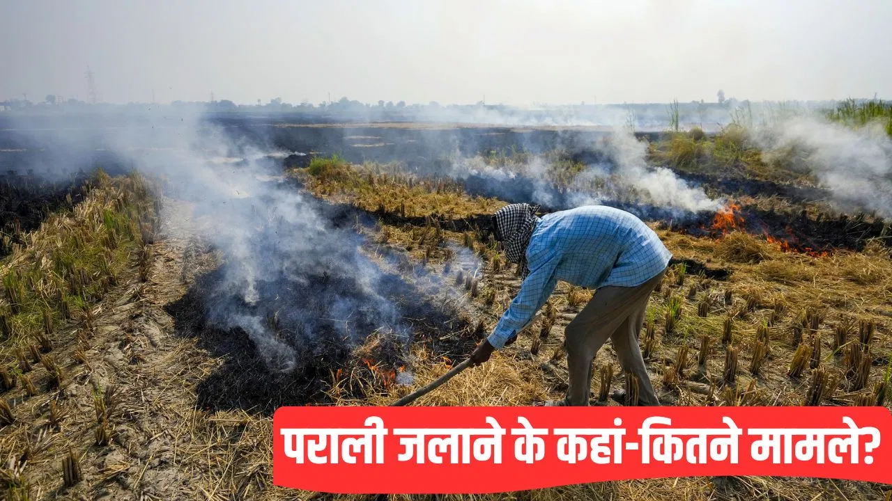 हरियाणा-पंजाब में पराली जलाने के मामलों में कमी, MP हुआ नंबर-1… ICAR की रिपोर्ट में क्या-क्या? हरियाणा-पंजाब में पराली जलाने के मामलों में कमी, MP हुआ नंबर-1... ICAR की रिपोर्ट में क्या-क्या?