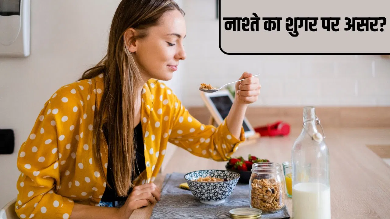 10 बजे तक नाश्ता करना, क्या शुगर का कारण बन सकता है? एक्सपर्ट से जानें 10 बजे तक नाश्ता करना, क्या शुगर का कारण बन सकता है? एक्सपर्ट से जानें