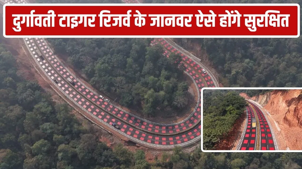 12 किमी में 25 वाइल्डलाइफ अंडरपास, भोपाल हाईवे पर NHAI ने किए खास इंतजाम… अब नहीं टकराएंगे जंगल के जानवर 12 किमी में 25 वाइल्डलाइफ अंडरपास, भोपाल हाईवे पर NHAI ने किए खास इंतजाम... अब नहीं टकराएंगे जंगल के जानवर
