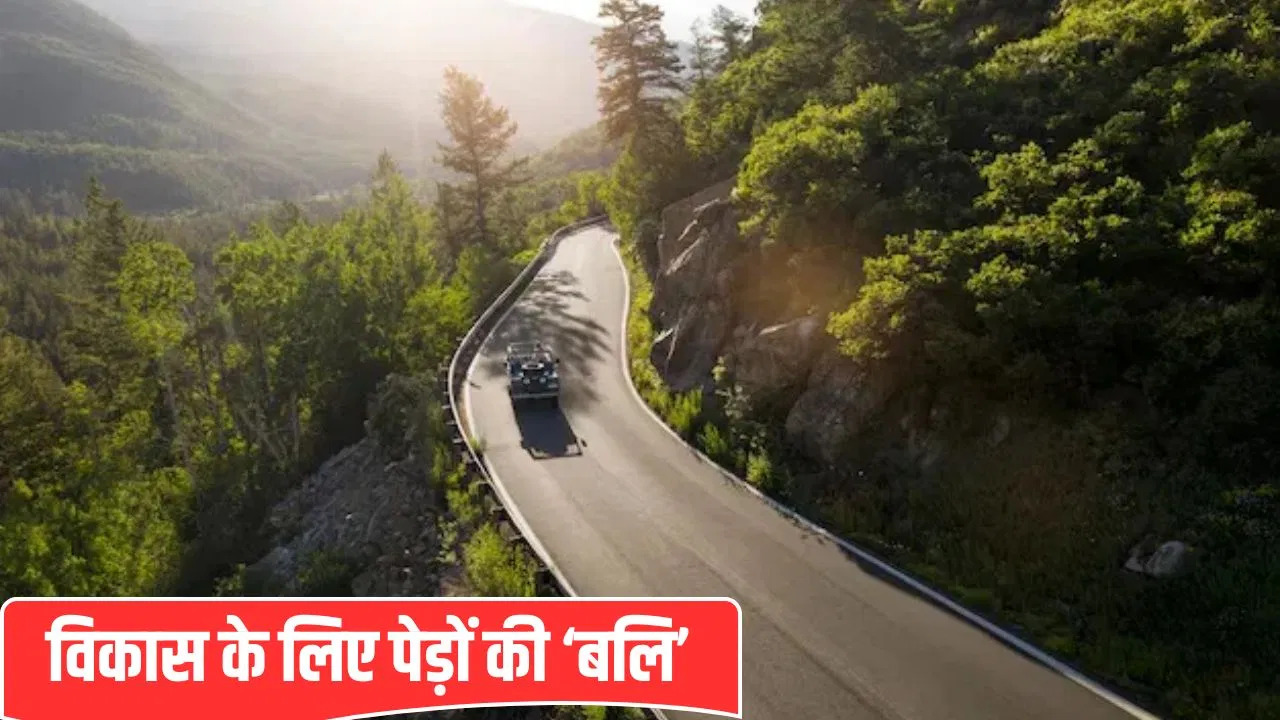 220 करोड़ लागत, काटे जाएंगे 1882 पेड़… अरावली के बाद अब चंपावत में बनने जा रहा 10KM बाईपास चर्चा में 220 करोड़ लागत, काटे जाएंगे 1882 पेड़... अरावली के बाद अब चंपावत में बनने जा रहा 10KM बाईपास चर्चा में