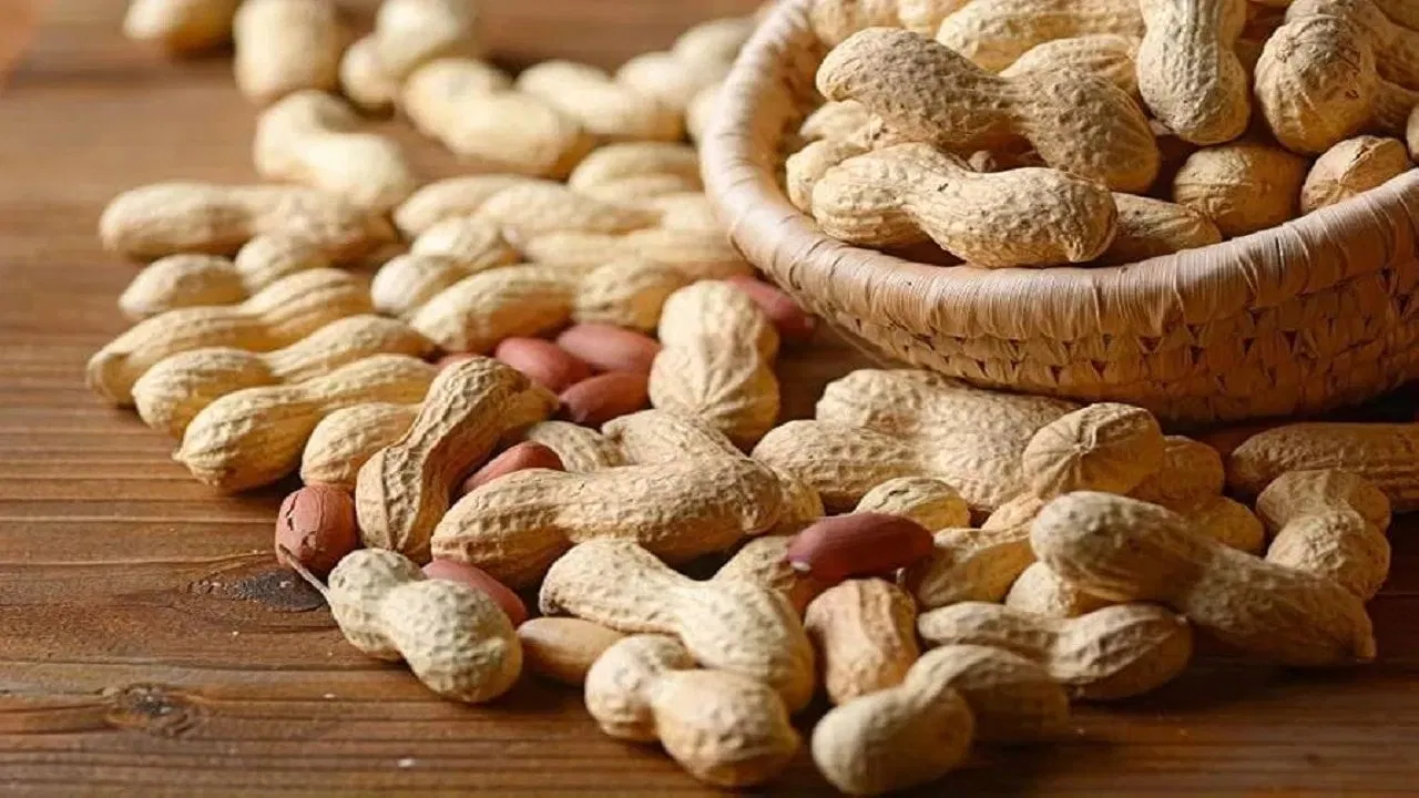 4 साल की पलक खा रही थी मूंगफली, गले में फंसा दाना…फर्रुखाबाद में मासूम की तड़प-तड़प कर मौत 4 साल की पलक खा रही थी मूंगफली, गले में फंसा दाना...फर्रुखाबाद में मासूम की तड़प-तड़प कर मौत