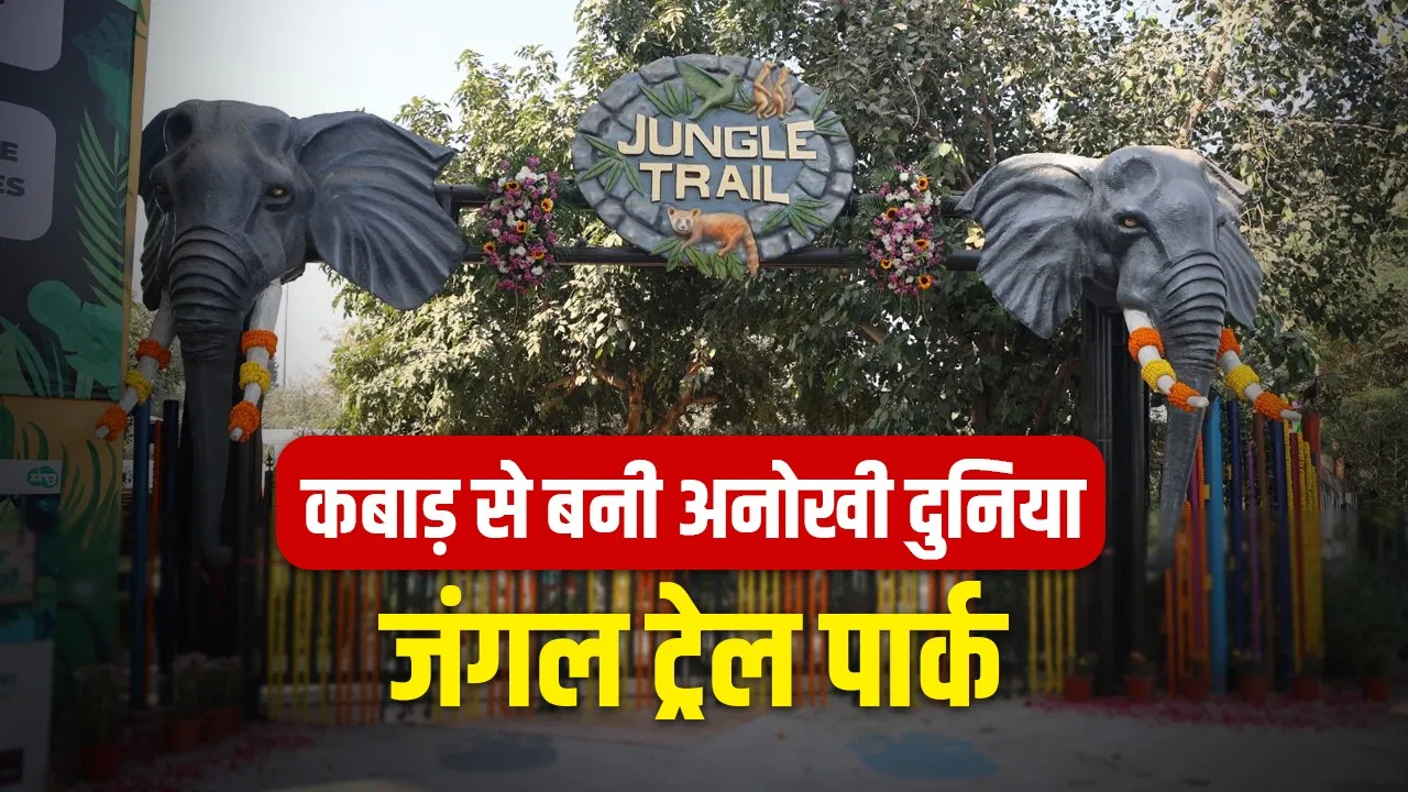 400 टन स्क्रैप, 650 जानवर और 6 जोन… कचरे से बने नोएडा के ‘जंगल ट्रेल पार्क’ में और भी है बहुत कुछ 400 टन स्क्रैप, 650 जानवर और 6 जोन... कचरे से बने नोएडा के 'जंगल ट्रेल पार्क' में और भी है बहुत कुछ