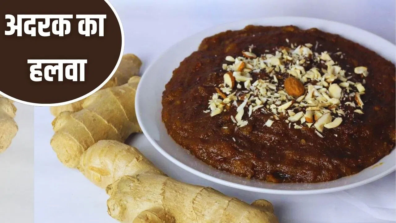 Adrak Halwa Recipe: जुकाम-खांसी, सांस की तकलीफ होगी दूर…सर्दी में बनाकर खाएं अदरक का हलवा, ये रही पुरानी रेसिपी Adrak Halwa Recipe: जुकाम-खांसी, सांस की तकलीफ होगी दूर...सर्दी में बनाकर खाएं अदरक का हलवा, ये रही पुरानी रेसिपी