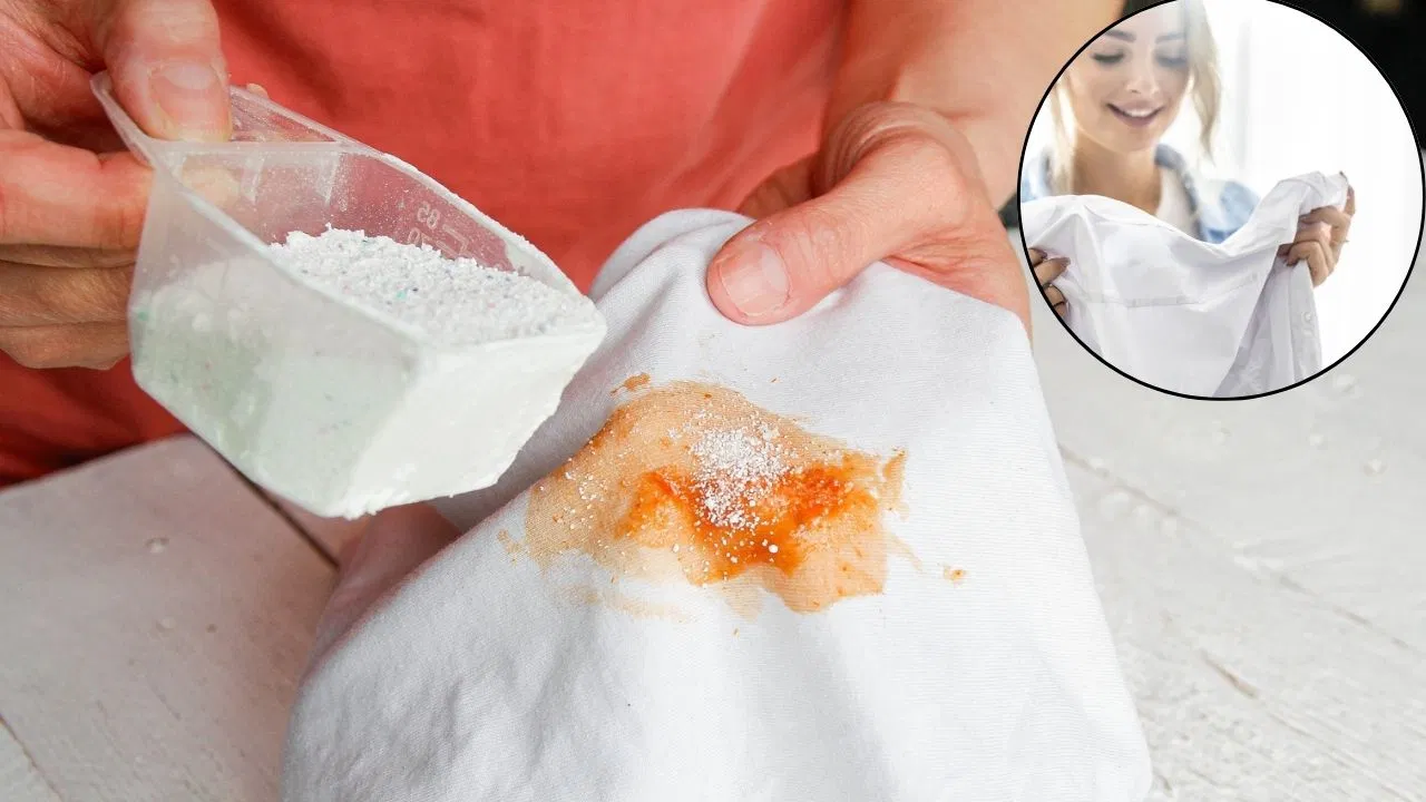 Bleach Side Effects On Clothes: रंग फीका पड़ना…कपड़े धोते हुए ब्लीच का इस्तेमाल सही या गलत? न करें ये गलतियां Bleach Side Effects On Clothes: रंग फीका पड़ना...कपड़े धोते हुए ब्लीच का इस्तेमाल सही या गलत? न करें ये गलतियां
