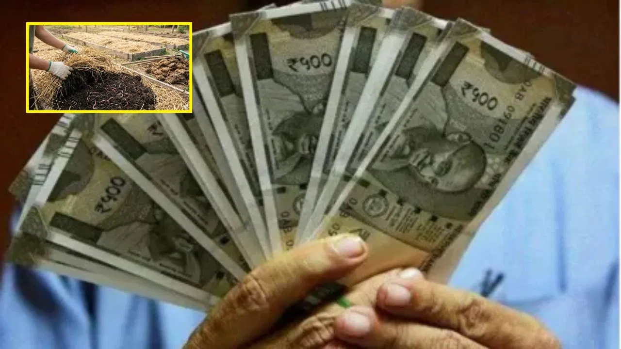 Business idea: नौकरी की दौड़ छोड़िए… सिर्फ ₹50,000 में शुरू करें ये बिजनेस, सालाना होगी ₹10 लाख तक की कमाई! Business idea: नौकरी की दौड़ छोड़िए... सिर्फ ₹50,000 में शुरू करें ये बिजनेस, सालाना होगी ₹10 लाख तक की कमाई!
