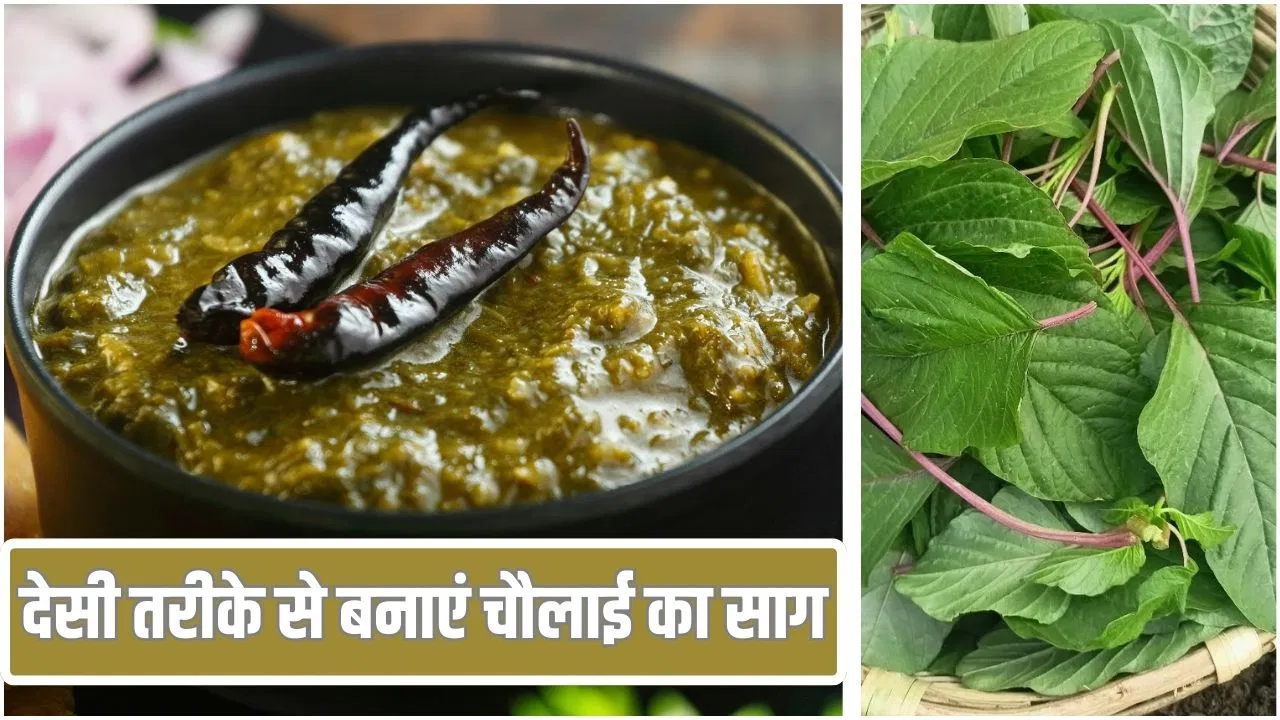 Chaulai Saag Recipe: कम मसाला, कम तेल…चौलाई का साग बनाने का देसी और हेल्दी तरीका, मेरी मम्मी की रेसिपी Chaulai Saag Recipe: कम मसाला, कम तेल...चौलाई का साग बनाने का देसी और हेल्दी तरीका, मेरी मम्मी की रेसिपी