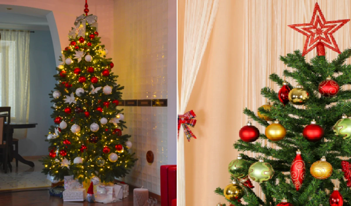 Christmas 2025: क्रिसमस ट्री सजाने का प्रो तरीका! बिना किसी मदद के घर पर ऐसे सजाएं अपना ट्री Christmas 2025: क्रिसमस ट्री सजाने का प्रो तरीका! बिना किसी मदद के घर पर ऐसे सजाएं अपना ट्री